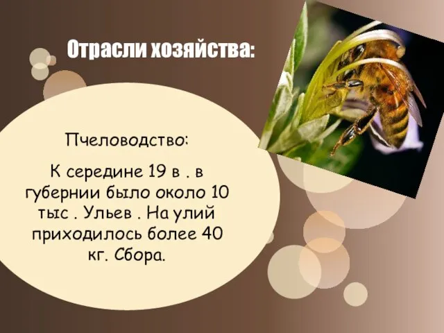 Пчеловодство: К середине 19 в . в губернии было около 10 тыс