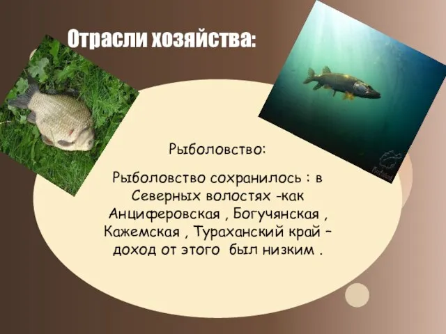 Рыболовство: Рыболовство сохранилось : в Северных волостях -как Анциферовская , Богучянская ,