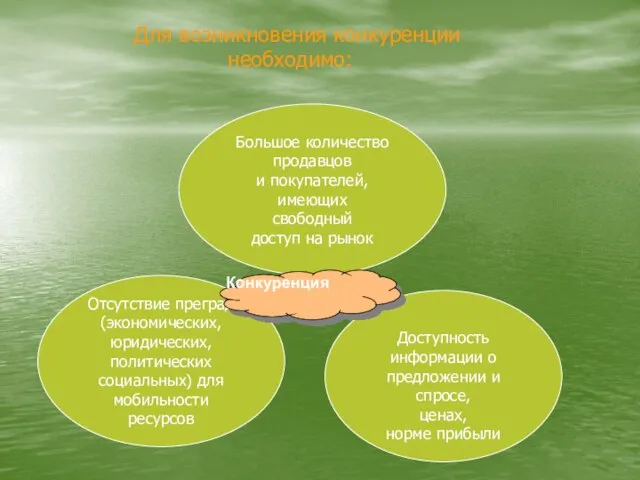 Большое количество продавцов и покупателей, имеющих свободный доступ на рынок Отсутствие преград