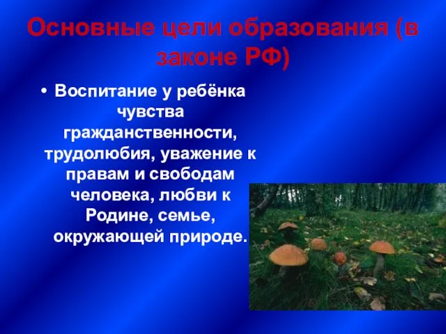 Основные цели образования (в законе РФ) Воспитание у ребёнка чувства гражданственности, трудолюбия,