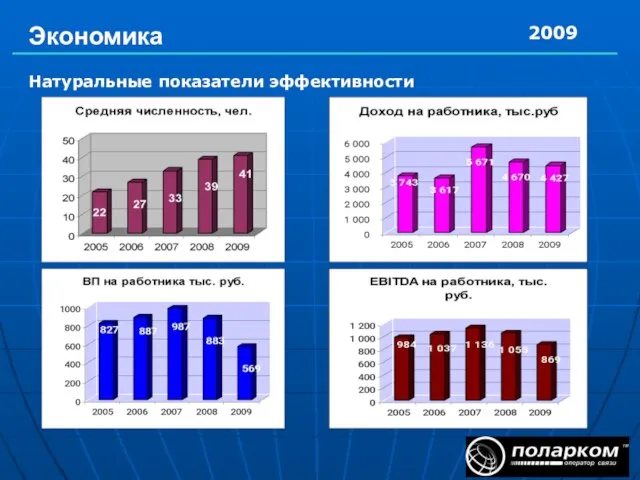 Экономика 2009 Натуральные показатели эффективности