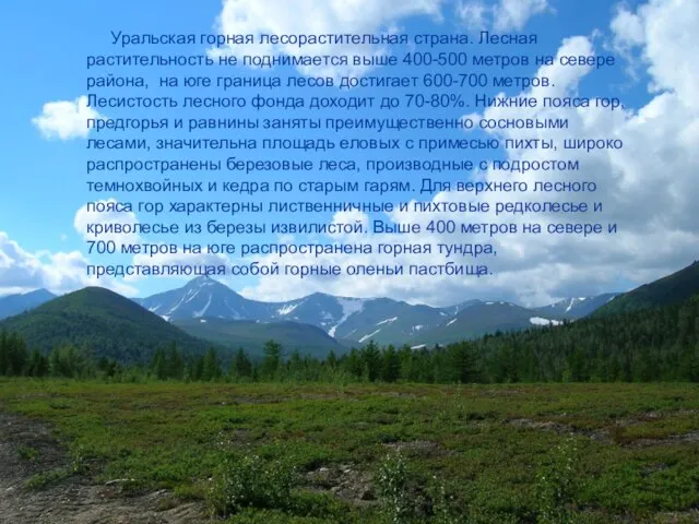 Уральская горная лесорастительная страна. Лесная растительность не поднимается выше 400-500 метров на