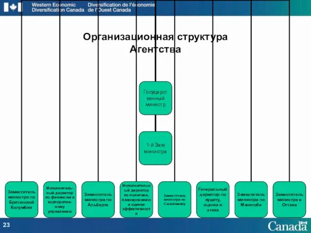 Организационная структура Агентства