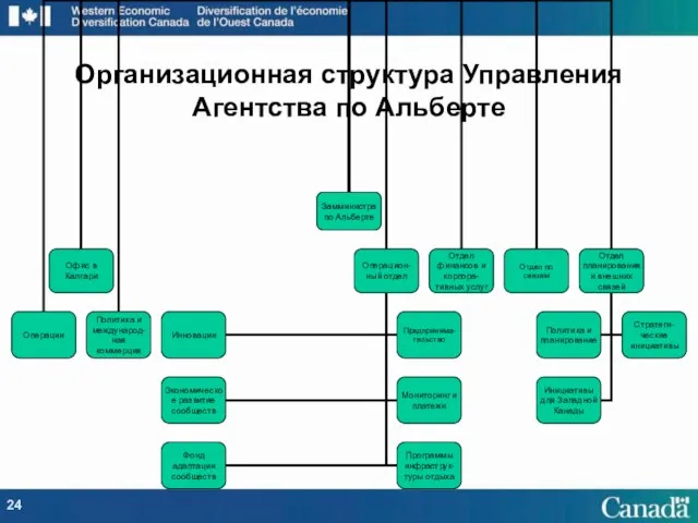 Организационная структура Управления Агентства по Альберте