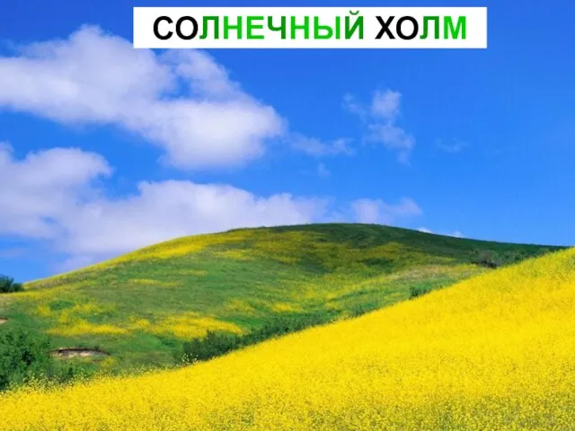 СОЛНЕЧНЫЙ ХОЛМ