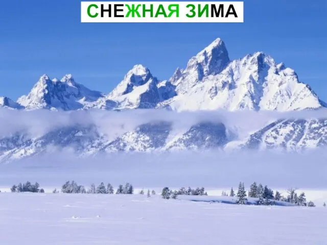 СНЕЖНАЯ ЗИМА