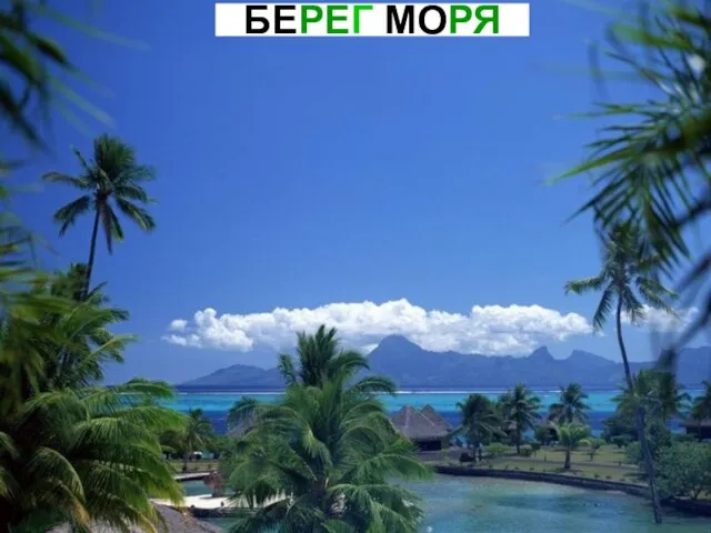 БЕРЕГ МОРЯ