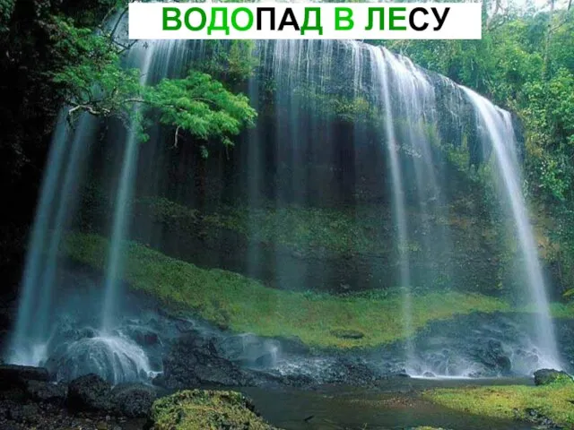 ВОДОПАД В ЛЕСУ