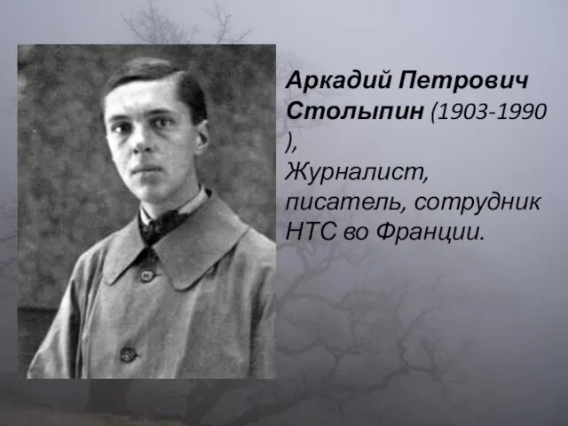 Аркадий Петрович Столыпин (1903-1990), Журналист, писатель, сотрудник НТС во Франции.