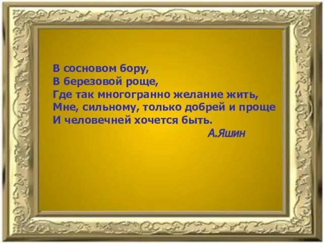 В сосновом бору, В березовой роще, Где так многогранно желание жить, Мне,