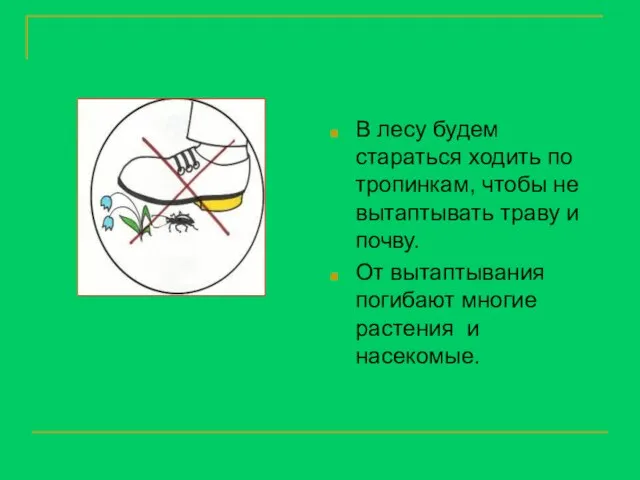 В лесу будем стараться ходить по тропинкам, чтобы не вытаптывать траву и