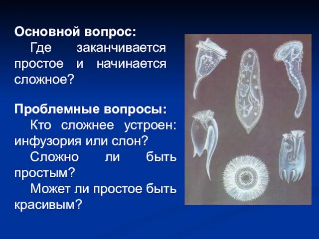 Проблемные вопросы: Кто сложнее устроен: инфузория или слон? Сложно ли быть простым?