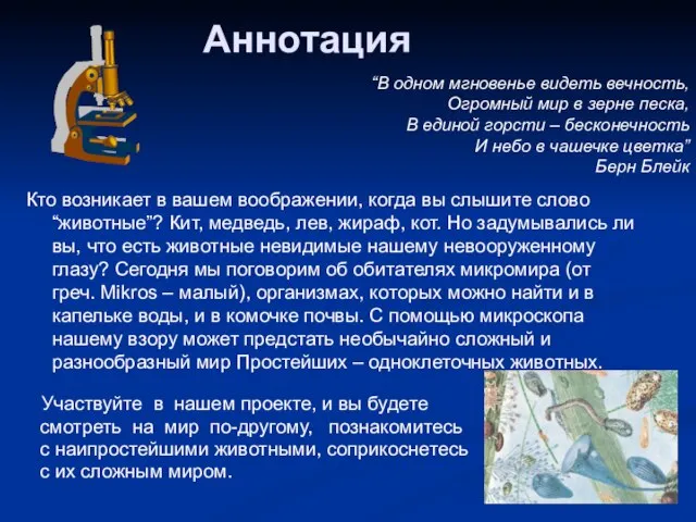 Аннотация Кто возникает в вашем воображении, когда вы слышите слово “животные”? Кит,