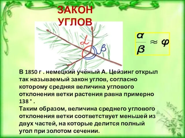 В 1850 г . немецкий учёный А. Цейзинг открыл так называемый закон