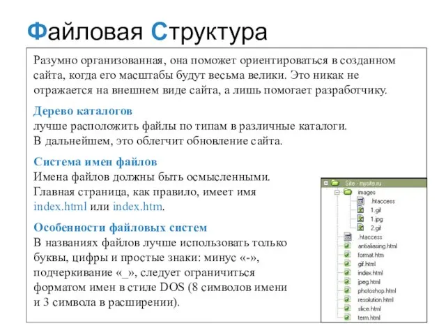 Файловая Структура Разумно организованная, она поможет ориентироваться в созданном сайта, когда его