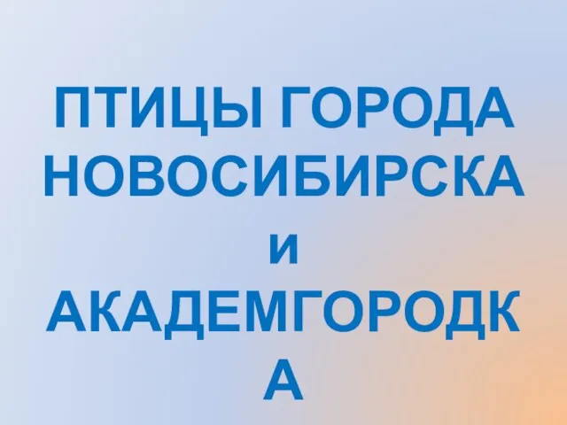 ПТИЦЫ ГОРОДА НОВОСИБИРСКА и АКАДЕМГОРОДКА