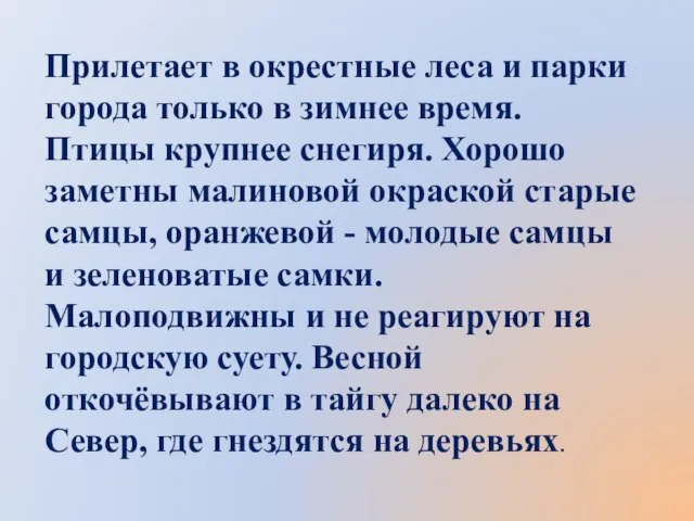 Прилетает в окрестные леса и парки города только в зимнее время. Птицы