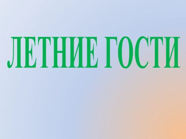 ЛЕТНИЕ ГОСТИ