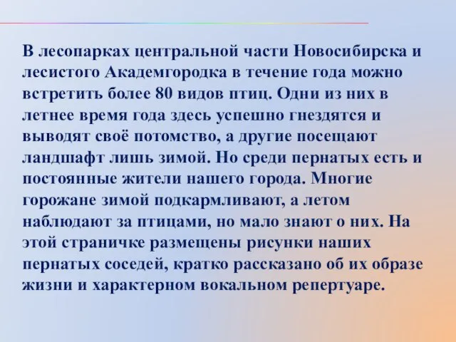 В лесопарках центральной части Новосибирска и лесистого Академгородка в течение года можно