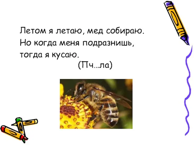 Летом я летаю, мед собираю. Но когда меня подразнишь, тогда я кусаю. (Пч…ла)