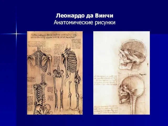 Леонардо да Винчи Анатомические рисунки