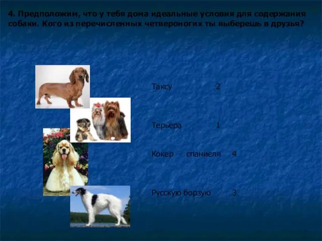 4. Предположим, что у тебя дома идеальные условия для содержания собаки. Кого