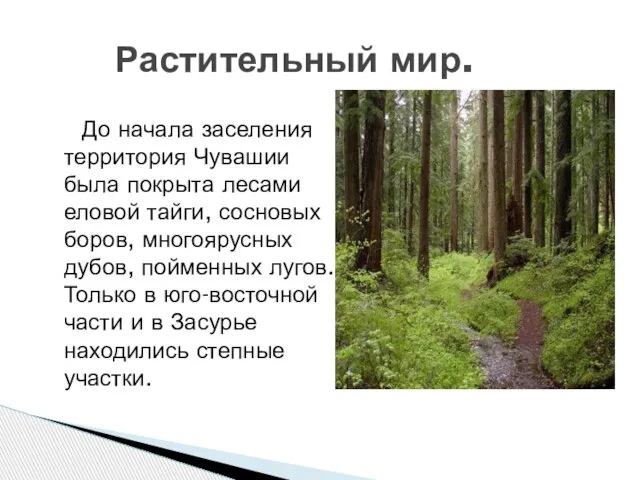 До начала заселения территория Чувашии была покрыта лесами еловой тайги, сосновых боров,