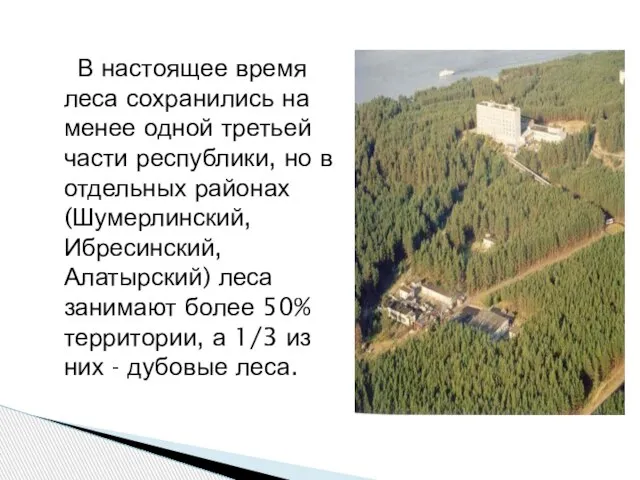 В настоящее время леса сохранились на менее одной третьей части республики, но