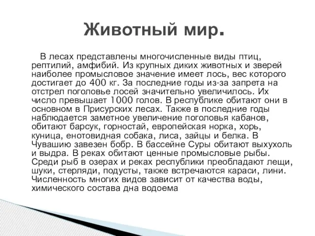 В лесах представлены многочисленные виды птиц, рептилий, амфибий. Из крупных диких животных