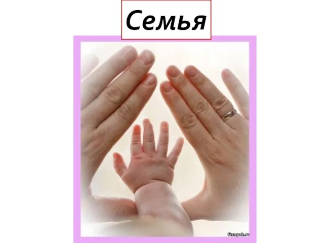 Семья