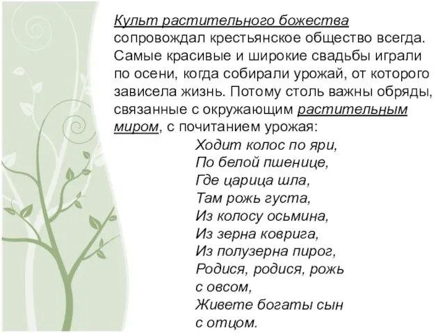 Культ растительного божества сопровождал крестьянское общество всегда. Самые красивые и широкие свадьбы