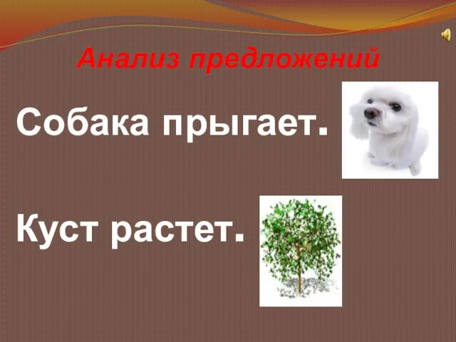 Анализ предложений Собака прыгает. Куст растет.