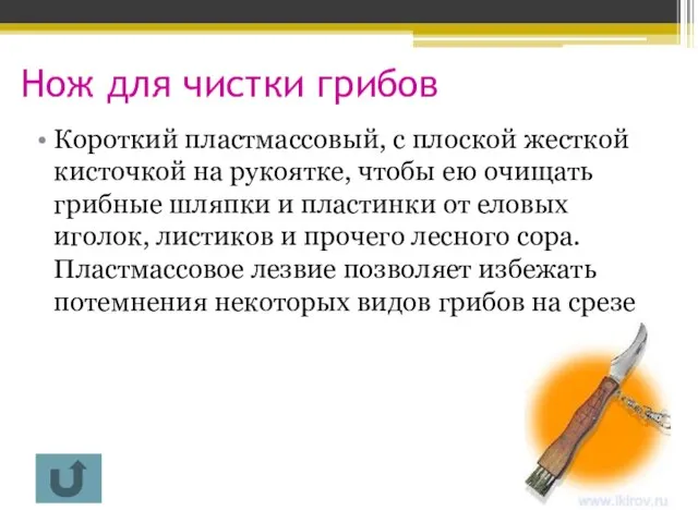 Нож для чистки грибов Короткий пластмассовый, с плоской жесткой кисточкой на рукоятке,