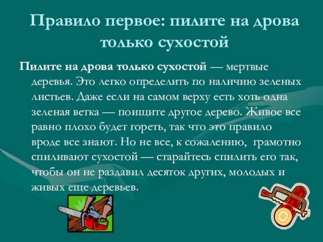 Правило первое: пилите на дрова только сухостой Пилите на дрова только сухостой