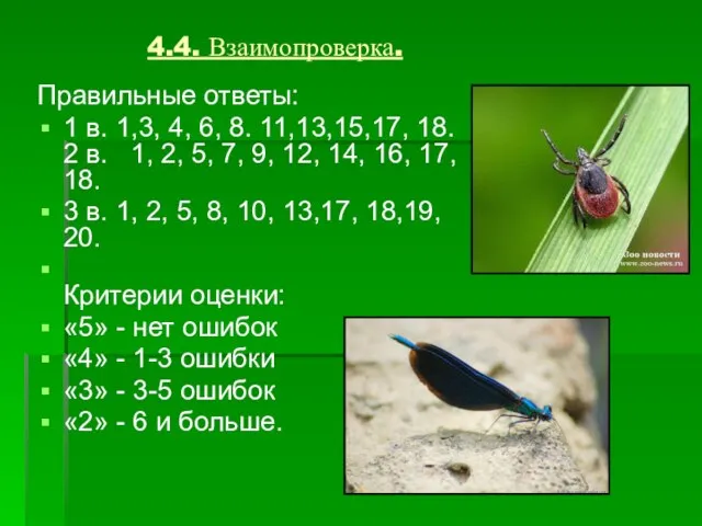 4.4. Взаимопроверка. Правильные ответы: 1 в. 1,3, 4, 6, 8. 11,13,15,17, 18.