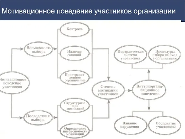 Мотивационное поведение участников организации