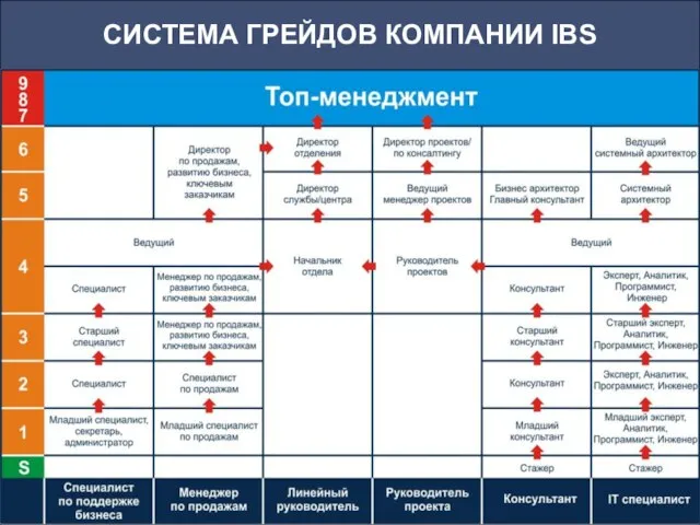 СИСТЕМА ГРЕЙДОВ КОМПАНИИ IBS