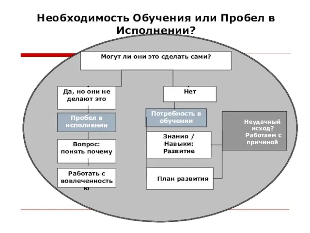 Могут ли они это сделать сами? Да, но они не делают это