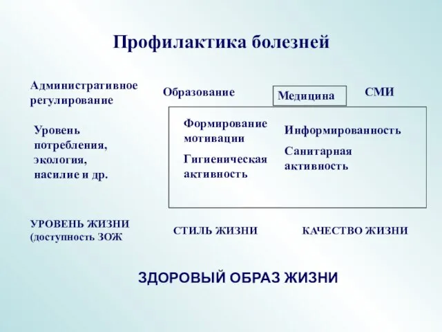 Профилактика болезней Административное регулирование Образование Медицина СМИ Формирование мотивации Гигиеническая активность Информированность