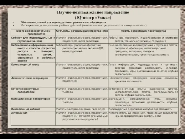 Научно-познавательное направление (IQ-центр «Умка») Обеспечение условий для индивидуального развития всех обучающихся Формирование