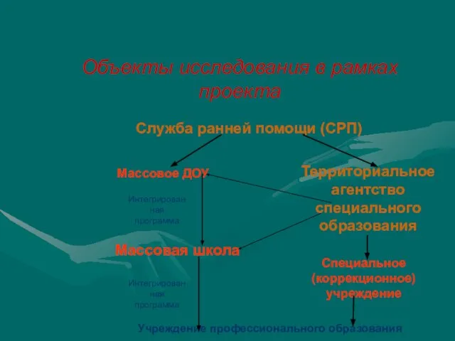 Объекты исследования в рамках проекта Массовое ДОУ Территориальное агентство специального образования Массовая