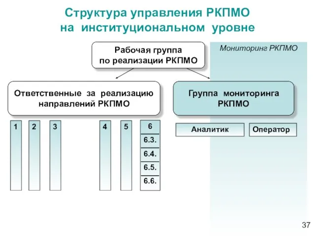 Структура управления РКПМО на институциональном уровне Мониторинг РКПМО Рабочая группа по реализации