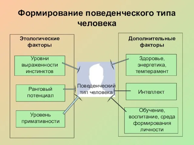 Формирование поведенческого типа человека Поведенческий тип человека Этологические факторы Дополнительные факторы Уровни