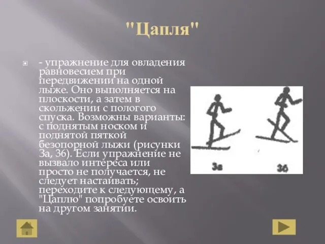 "Цапля" - упражнение для овладения равновесием при передвижении на одной лыже. Оно