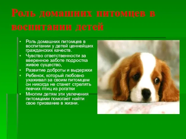 Роль домашних питомцев в воспитании детей Роль домашних питомцев в воспитании у