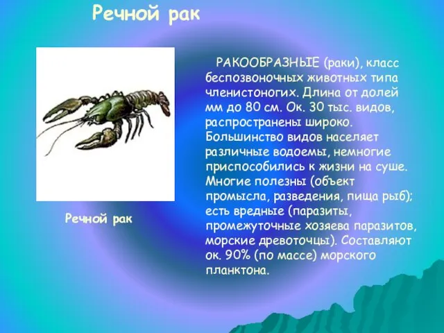 РАКООБРАЗНЫЕ (раки), класс беспозвоночных животных типа членистоногих. Длина от долей мм до