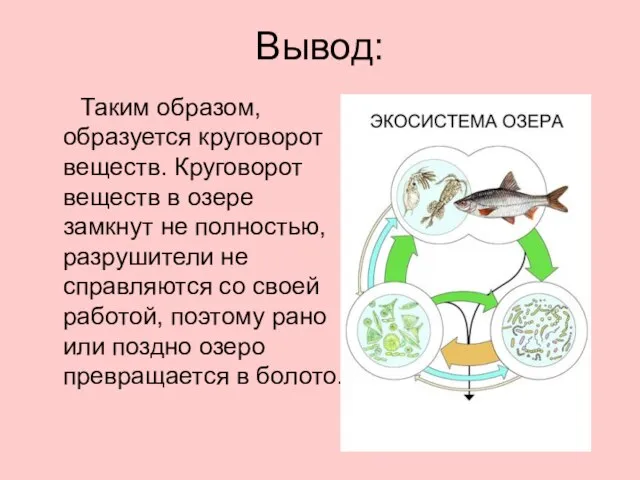 Вывод: Таким образом, образуется круговорот веществ. Круговорот веществ в озере замкнут не