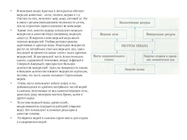 В холодных водах Арктики и Антарктики обитают морские животные - киты, тюлени,