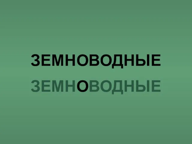 ЗЕМНОВОДНЫЕ ЗЕМНОВОДНЫЕ