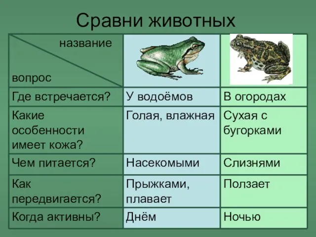 Сравни животных